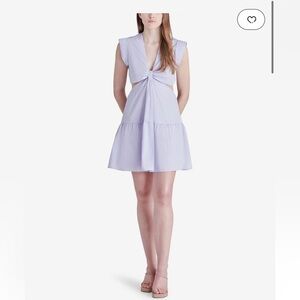 Steve Madden Amanda mini dress